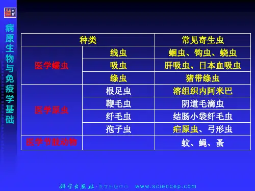 病原生物与免疫学-常见寄生虫