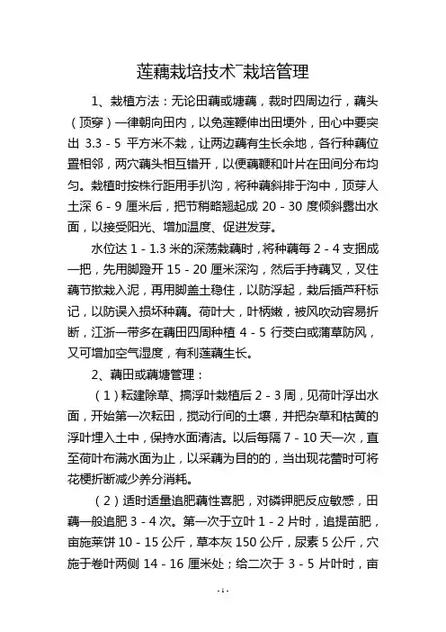 莲藕栽培技术―栽培管理