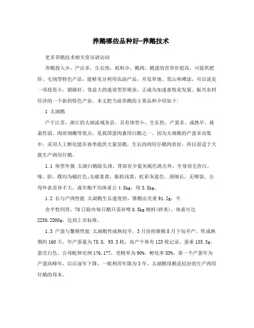 养鹅哪些品种好-养鹅技术