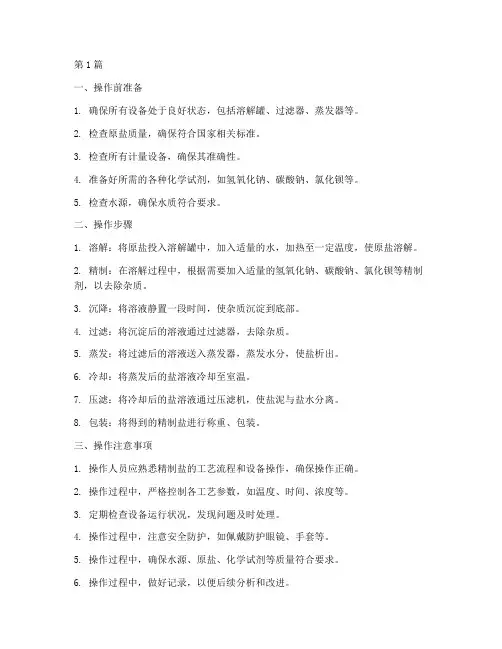 精制盐的操作规程(3篇)