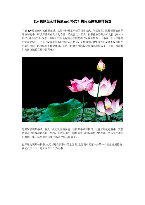 flv视频怎么转换成mp4格式？快用迅捷视频转换器