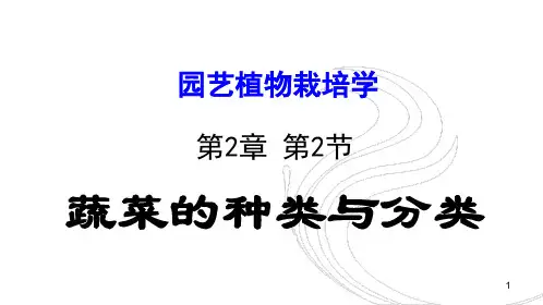 蔬菜主要种类及其分类
