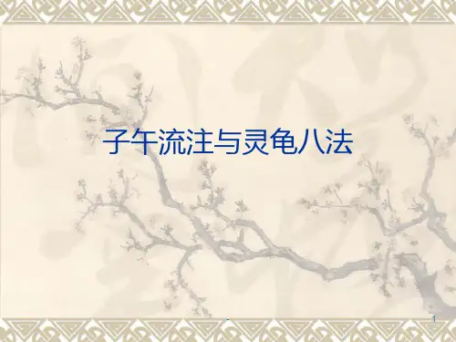 子午流注与灵龟八法(自制)PPT课件
