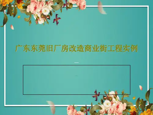 广东东莞旧厂房改造商业街工程实例共16页文档