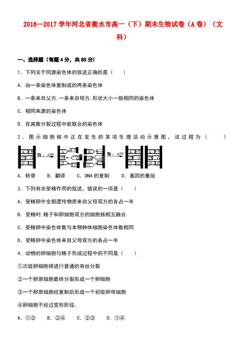 河北省衡水市高一生物下学期期末试卷(a卷)文(含解析)