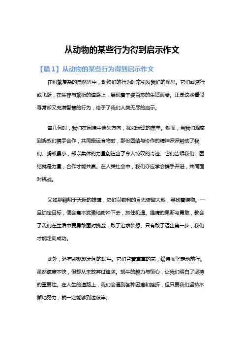 从动物的某些行为得到启示作文