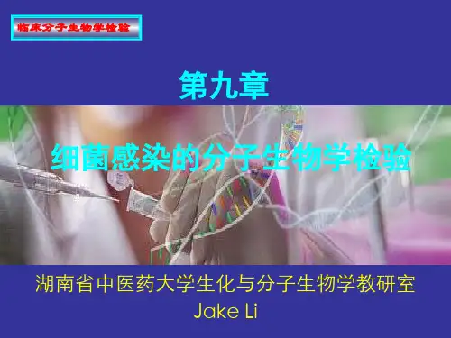 细菌感染的分子生物学检验