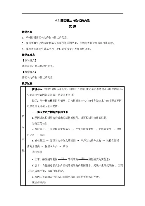 高中生物人教版(2019)必修二教案 4.2 基因表达与性状的关系