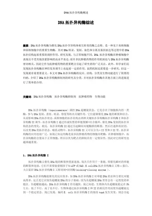 DNA拓扑异构酶概述