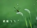 人教版小学美术二级上册《蜻蜓飞飞》PPT1