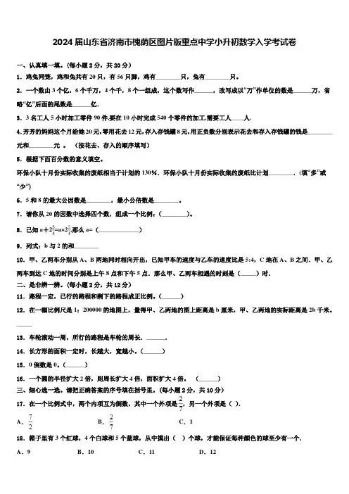 2024届山东省济南市槐荫区图片版重点中学小升初数学入学考试卷含解析