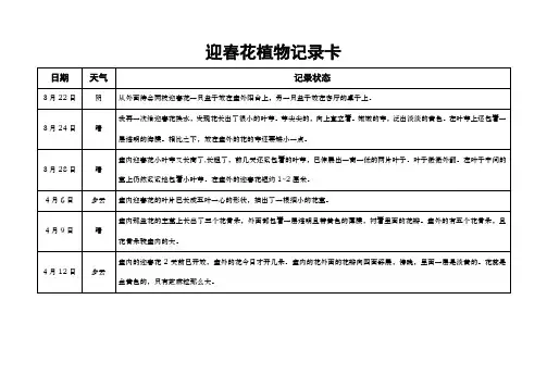 三年级下册迎春花植物记录卡
