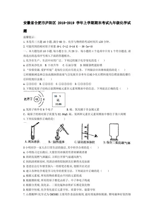 安徽省合肥市庐阳区2018-2019学年上学期期末考试九年级化学试题