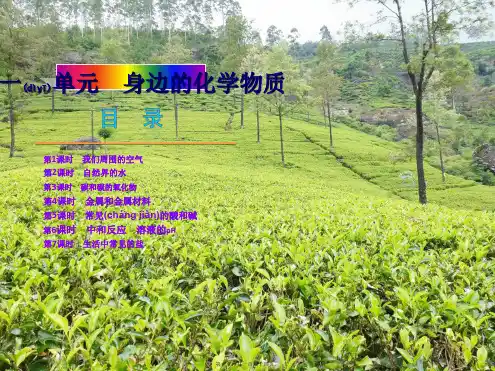 中考化学复习方案第一单元身边的化学物质
