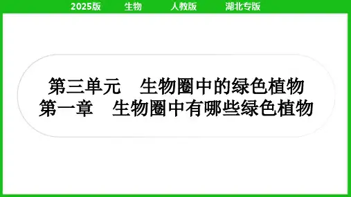 2025人教版中考生物总复习考点精讲七年级上册第三单元生物圈中的绿色植物第一章生物圈中有哪些绿色植物