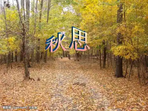 秋思-张籍-教学