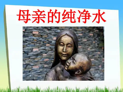 《母亲的纯净水》PPT课件