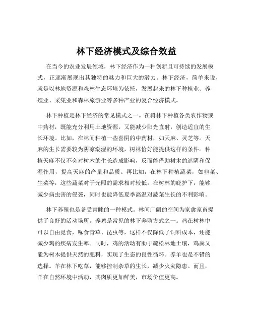 林下经济模式及综合效益