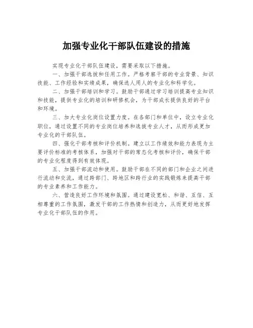 加强专业化干部队伍建设的措施