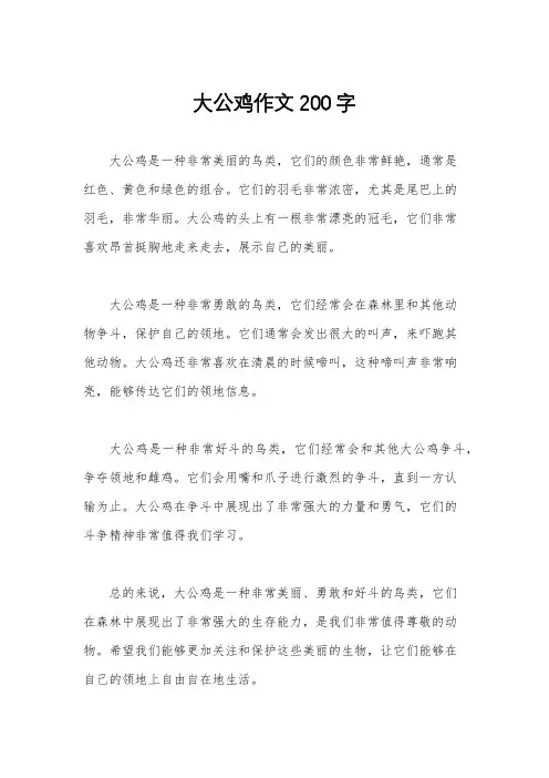 大公鸡作文200字