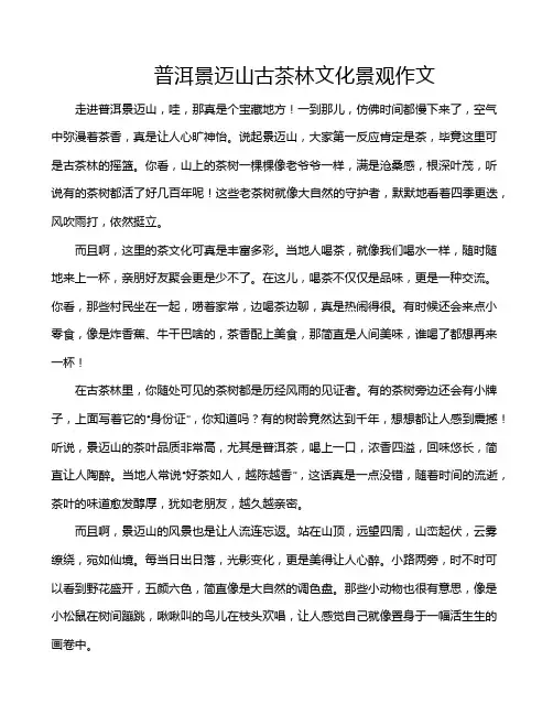 普洱景迈山古茶林文化景观作文