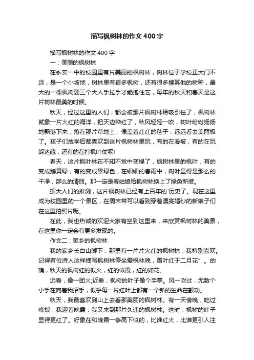 描写枫树林的作文400字
