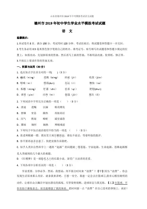 山东省德州市2019年中考模拟考试语文试题含答案