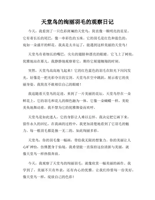 小学三年级作文天堂鸟的绚丽羽毛的观察日记