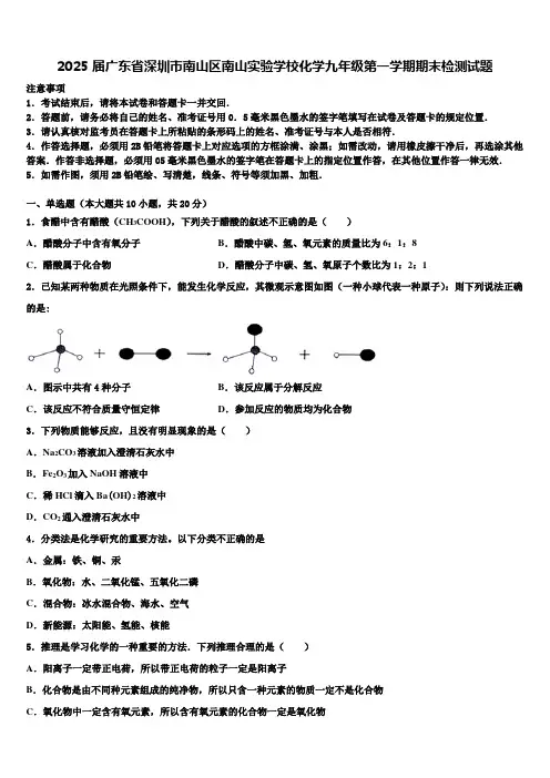 2025届广东省深圳市南山区南山实验学校化学九年级第一学期期末检测试题含解析