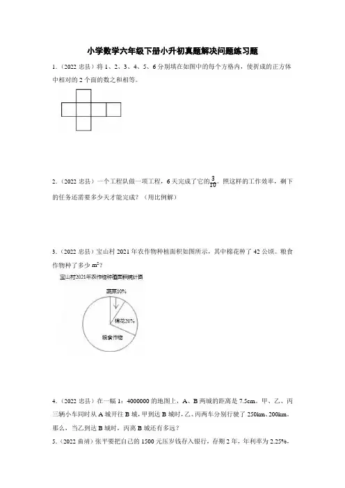2023小学数学六年级下册小升初真题解决问题练习题及答案