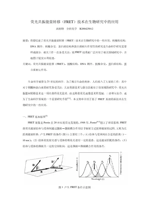 荧光共振能量转移(FRET)技术在生物研究探究中的运用资料精