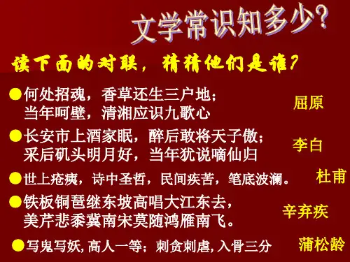 人民版高中历史必修3 专题二第3课 中国古典文学的时代特色  课件(共28张PPT)