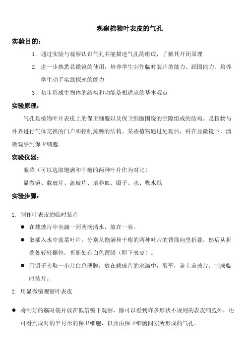 观察植物叶表皮的气孔