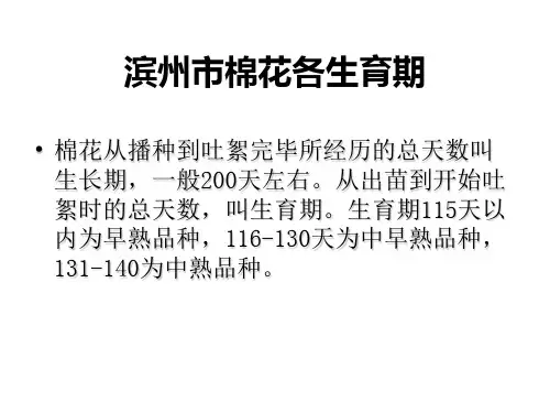 棉花各生育期特性及管理要点(保险培训课)