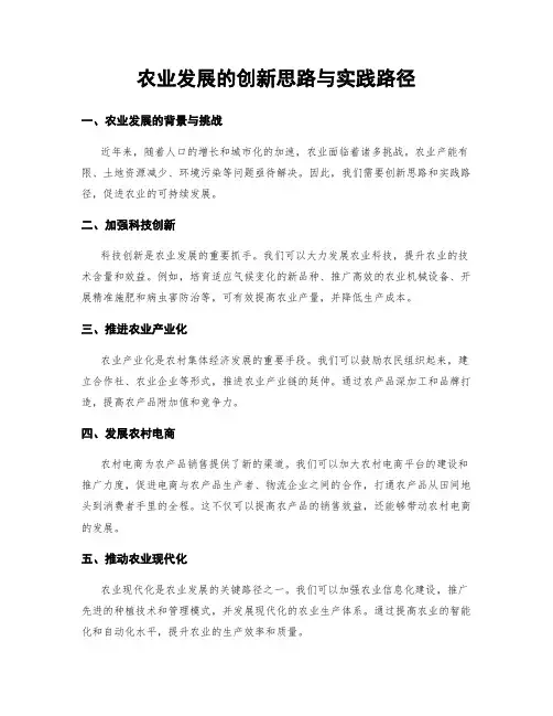 农业发展的创新思路与实践路径