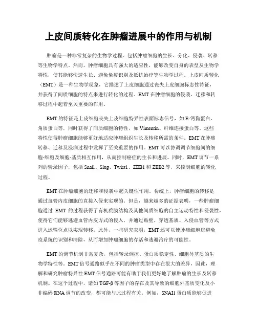 上皮间质转化在肿瘤进展中的作用与机制