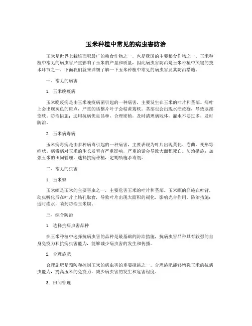 玉米种植中常见的病虫害防治