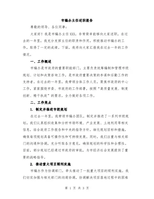 市编办主任述职报告