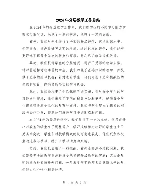 2024年分层教学工作总结