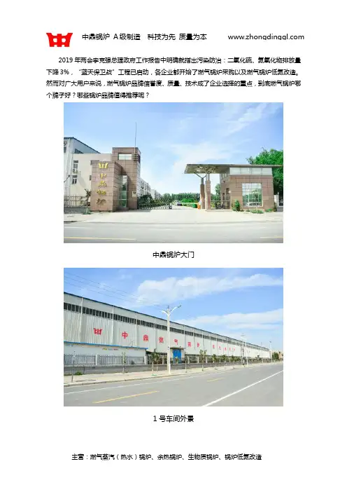 燃气锅炉哪个牌子好