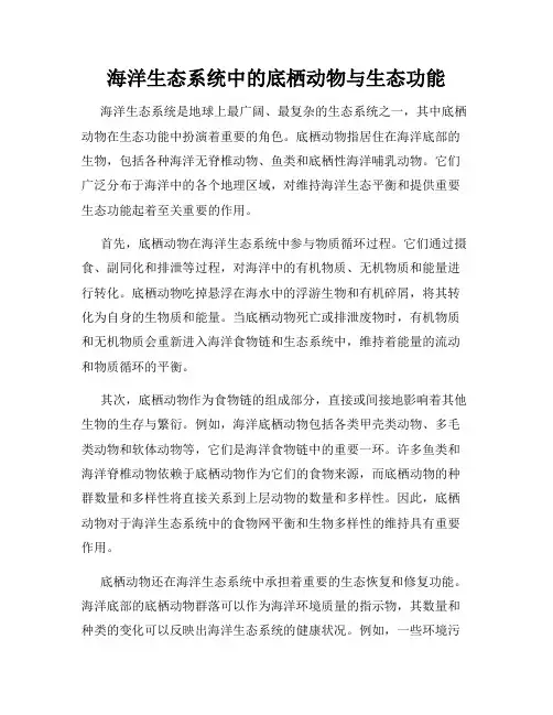 海洋生态系统中的底栖动物与生态功能