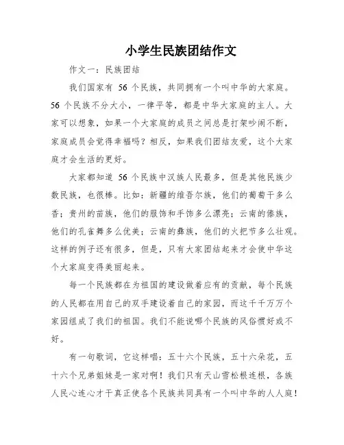 小学生民族团结作文