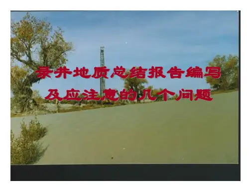 录井地质总结报告编写