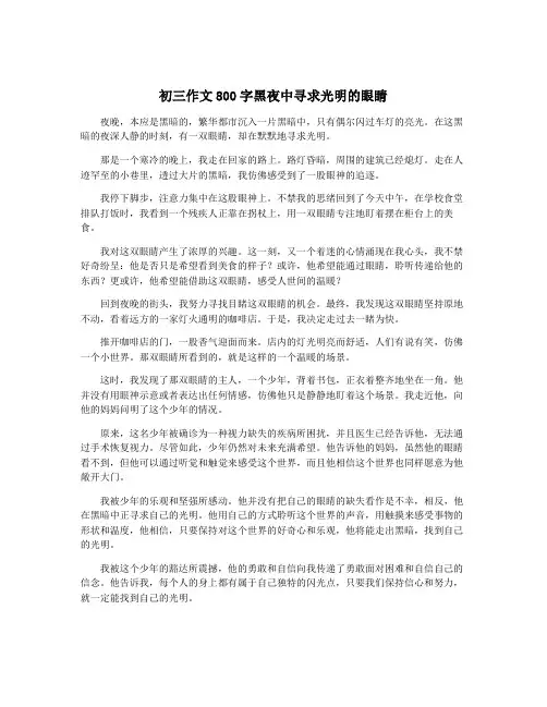 初三作文800字黑夜中寻求光明的眼睛