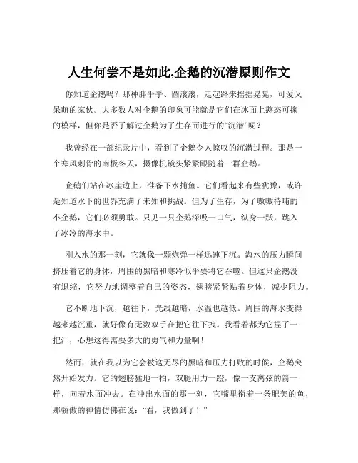 人生何尝不是如此,企鹅的沉潜原则作文