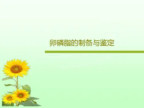 卵磷脂的制备与鉴定共19页文档