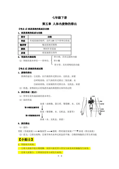 七年级下册生物第五章《人体内废物的排出》会考考点