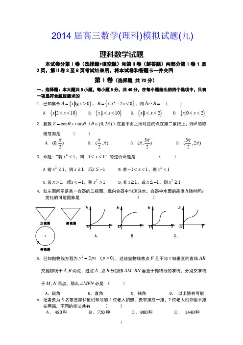 2014届高三数学(理科)模拟试题(九)