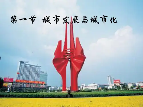 高中地理城市发展与城市化教学课件.pptx