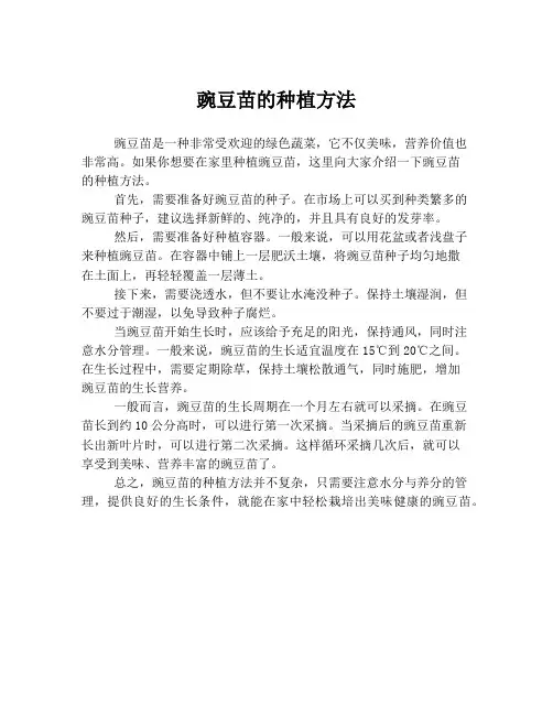 豌豆苗的种植方法